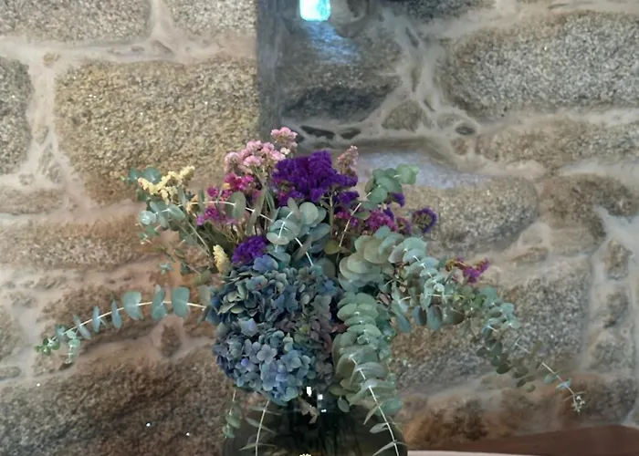 A Cobacha Летний дом Падерне