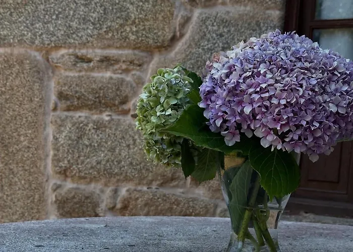 A Cobacha * Падерне