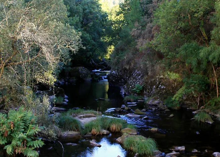 A Cobacha Летний дом *